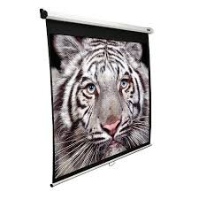 Elite Screens 86 Pull down projector screen 16 10-preview.jpg